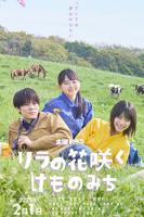 丁香花国语版高清