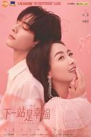 大陆电视剧《下一站是幸福》在线免费观看全集完整版